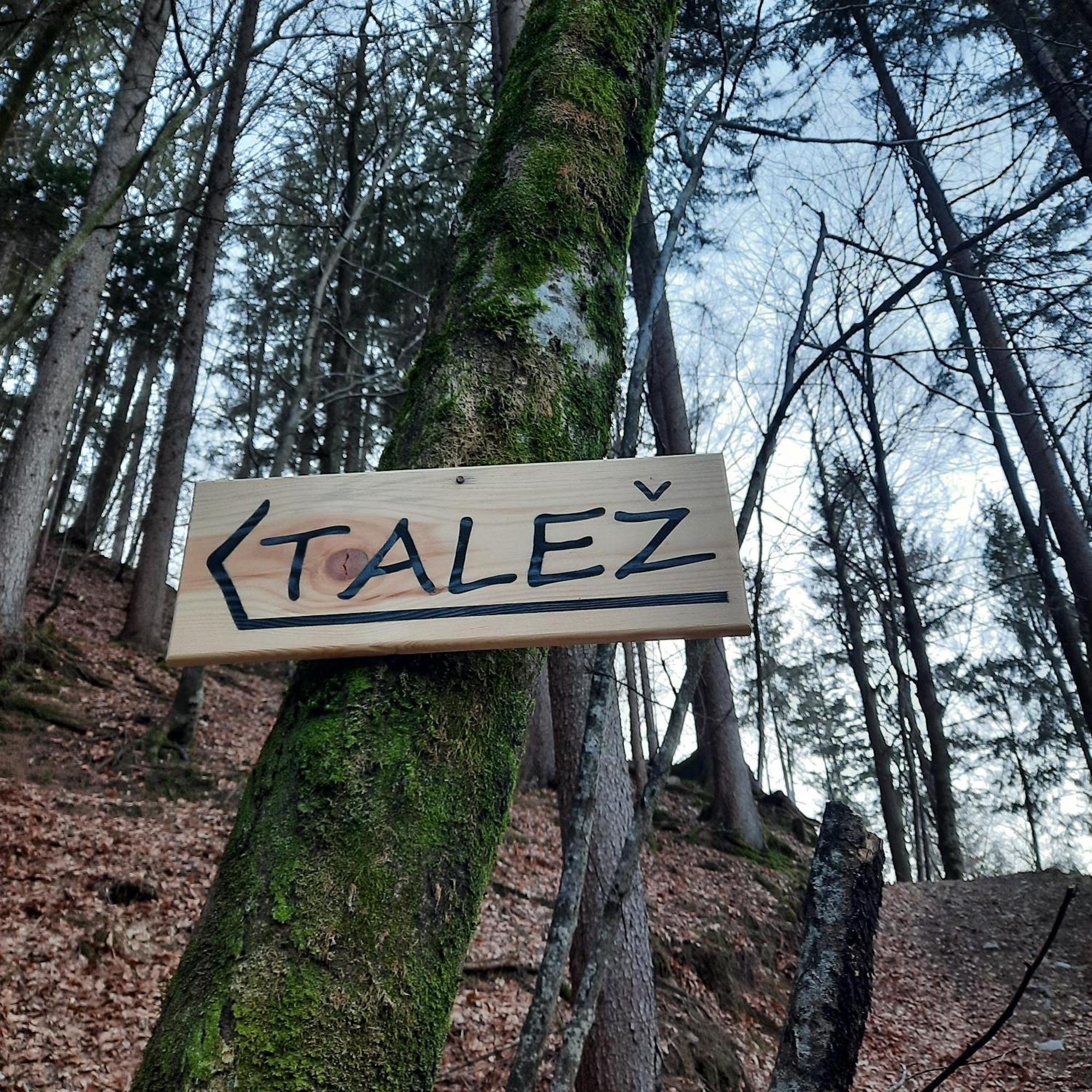 Koca V Gozdu Appartement Bled Buitenkant foto