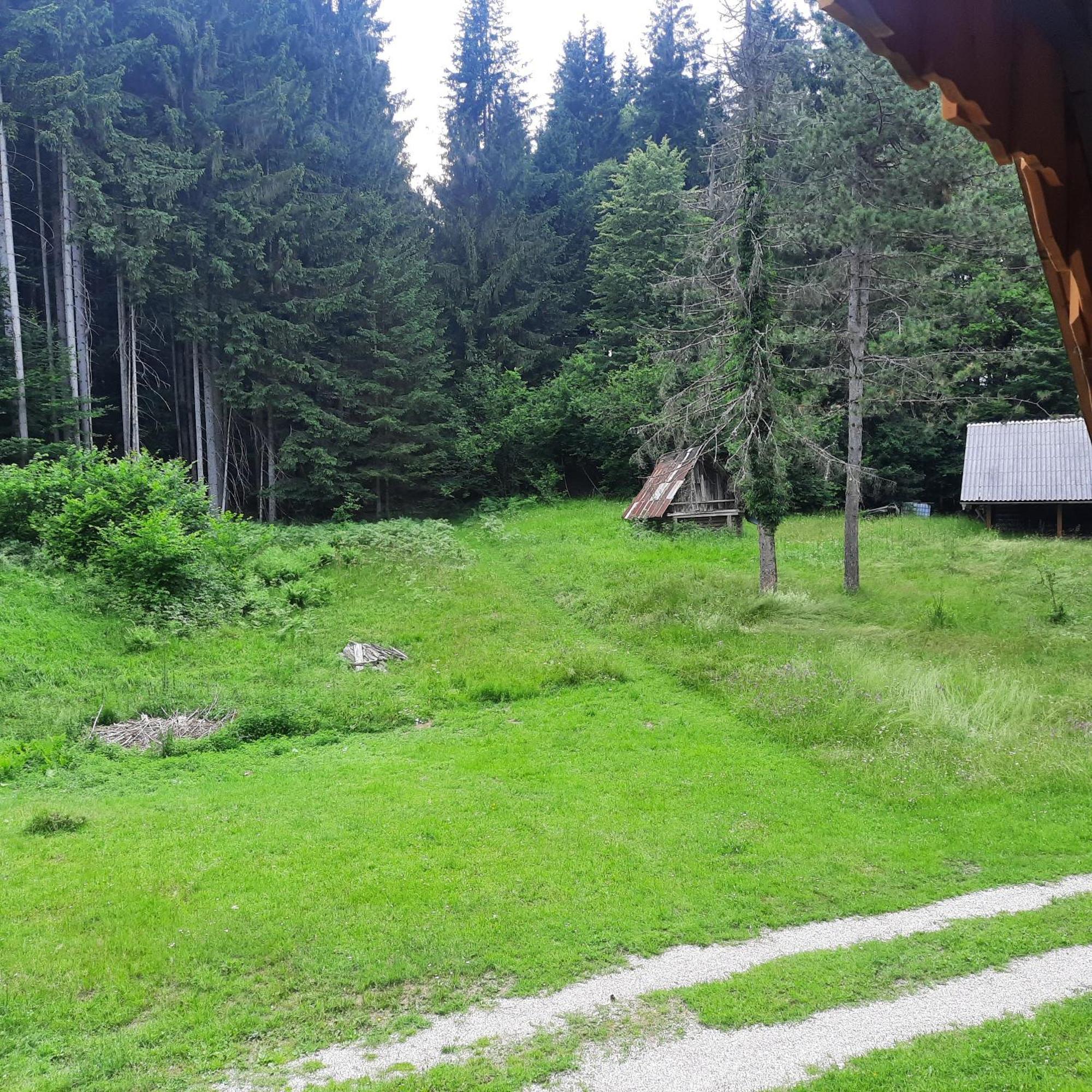 Koca V Gozdu Appartement Bled Buitenkant foto