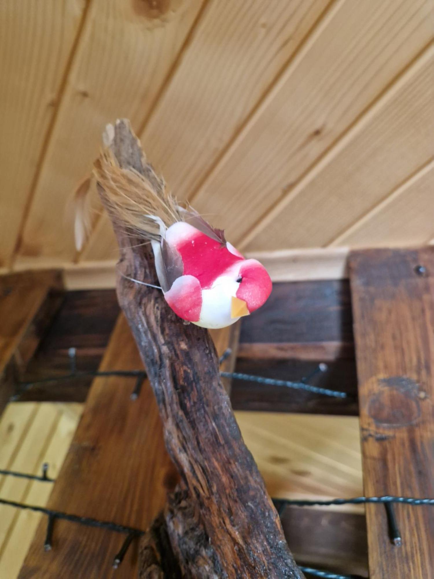Koca V Gozdu Appartement Bled Buitenkant foto