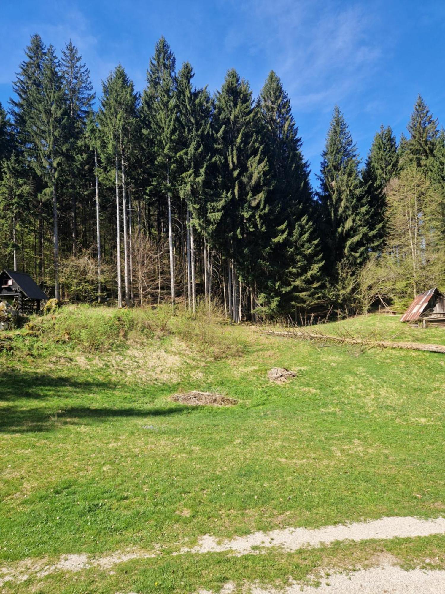 Koca V Gozdu Appartement Bled Buitenkant foto