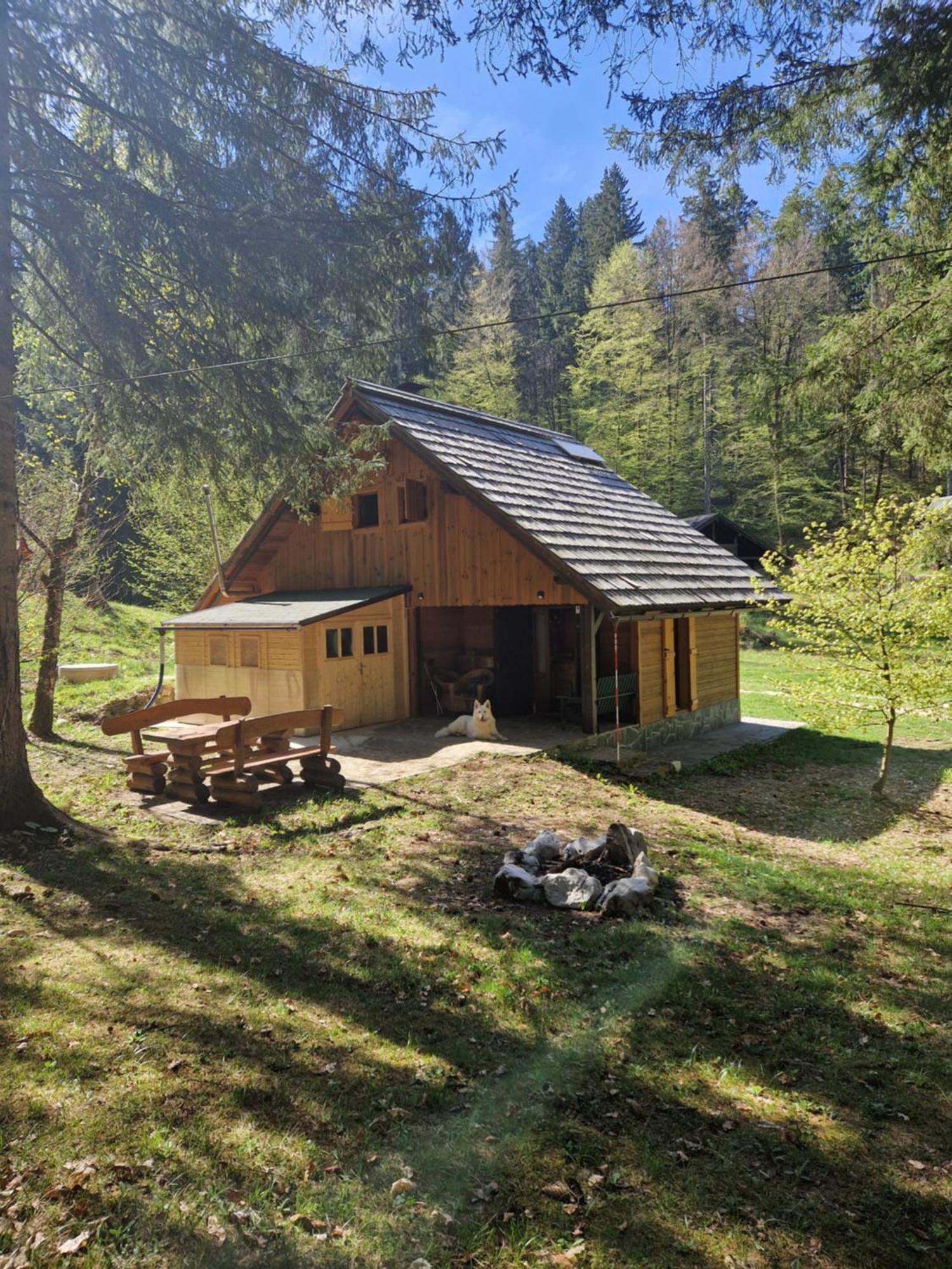 Koca V Gozdu Appartement Bled Buitenkant foto