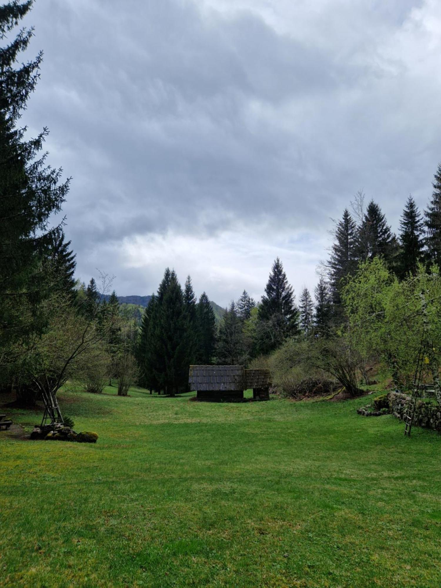 Koca V Gozdu Appartement Bled Kamer foto